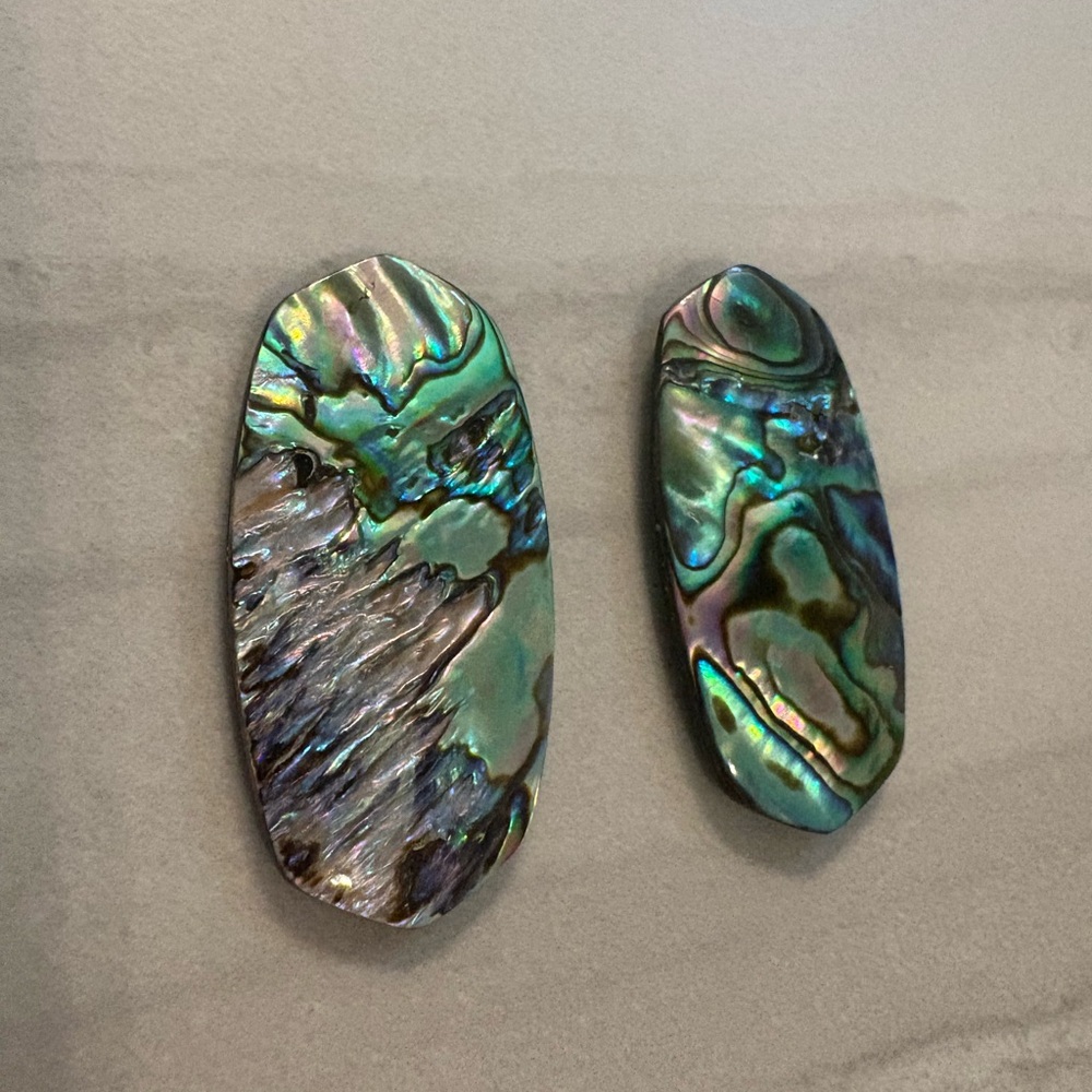 Kendra Scott Abalone Shell Danielle shape stones (2)